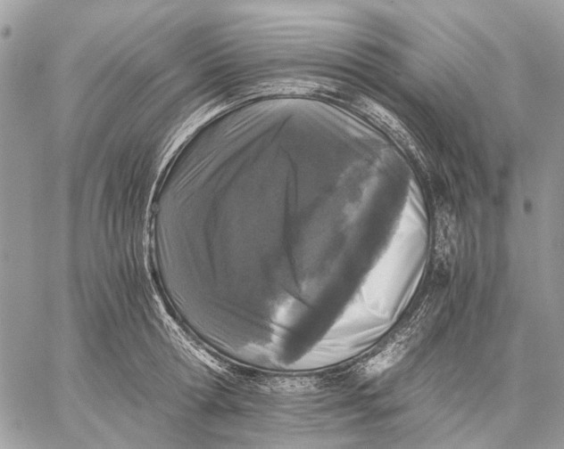 X0000058760802200510211656