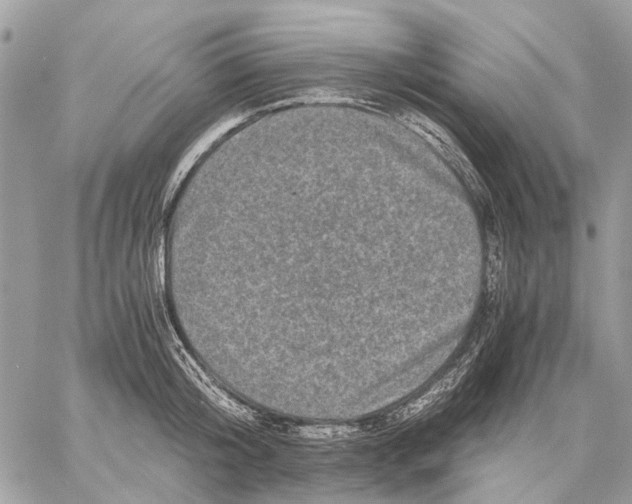 X0000058760804200510211656