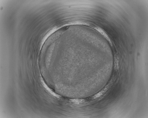 X0000058760805200510211656