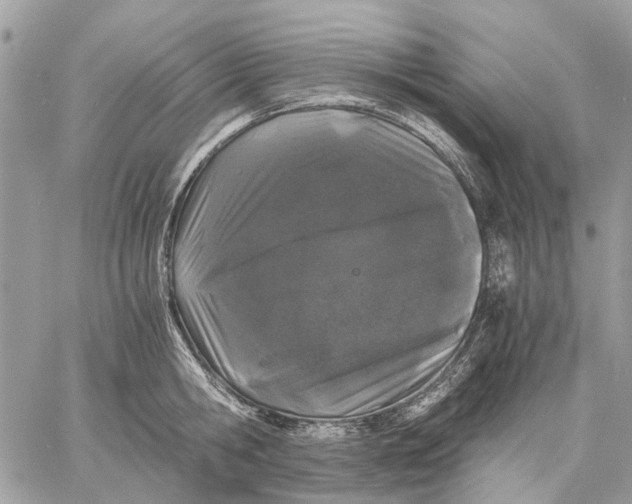 X0000058760806200510211656