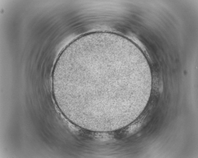 X0000058760807200510211656