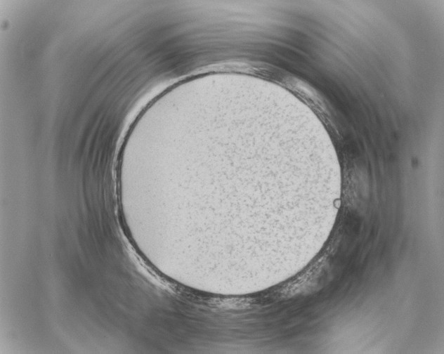 X0000058760808200510211656