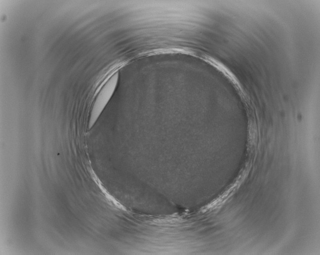 X0000058760809200510211656