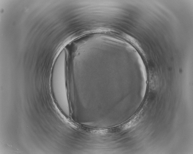 X0000058760810200510211656