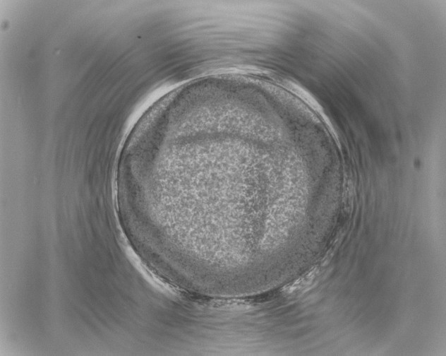 X0000058760811200510211656