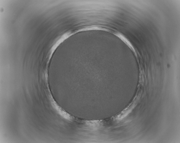 X0000058760813200510211656