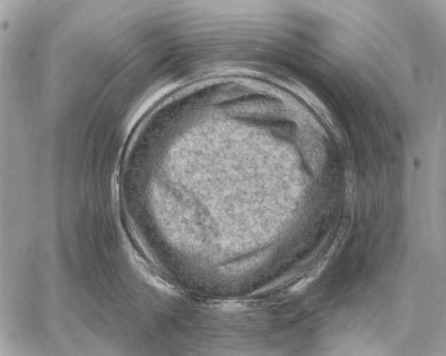 X0000058760814200510211656