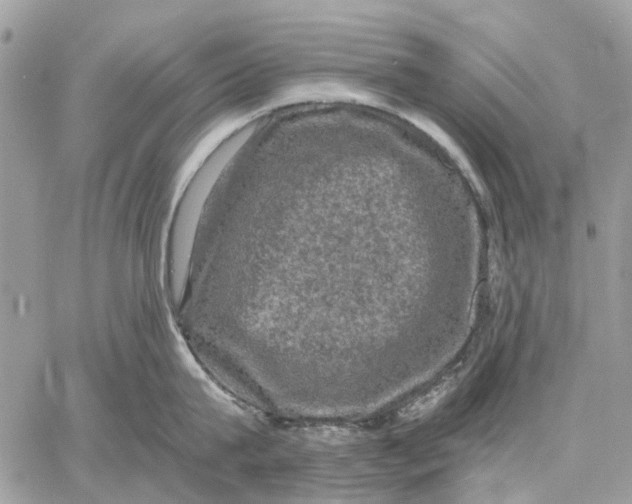 X0000058760815200510211656