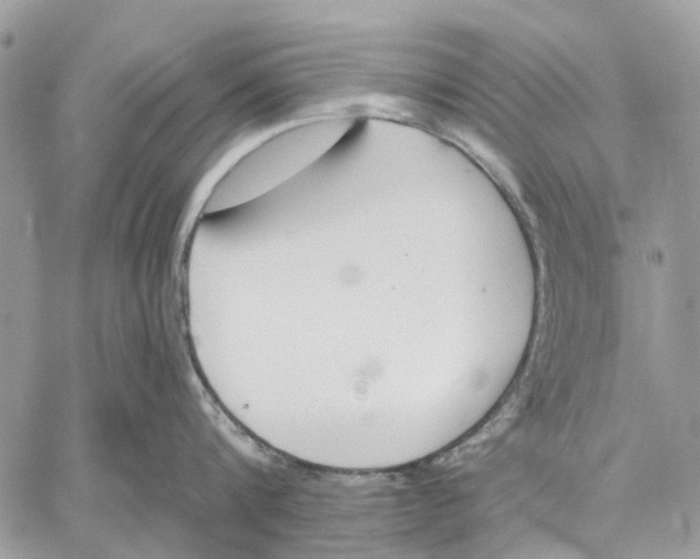 X0000058760816200510211656