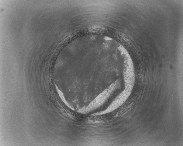 X0000058760817200510211655