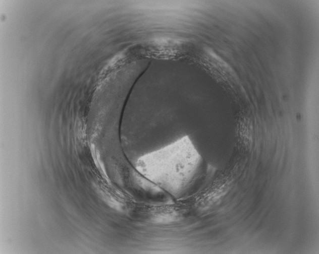 X0000058760818200510211655