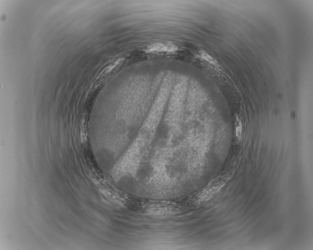 X0000058760819200510211655