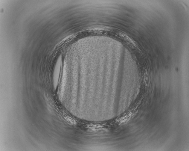 X0000058760821200510211655