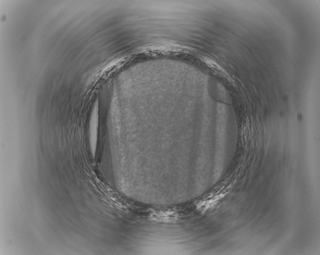 X0000058760822200510211655