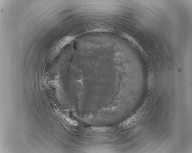 X0000058760825200510211655