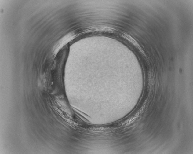 X0000058760826200510211655