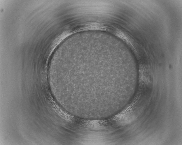 X0000058760828200510211655