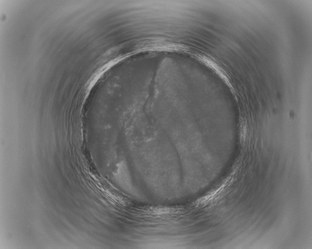 X0000058760829200510211655