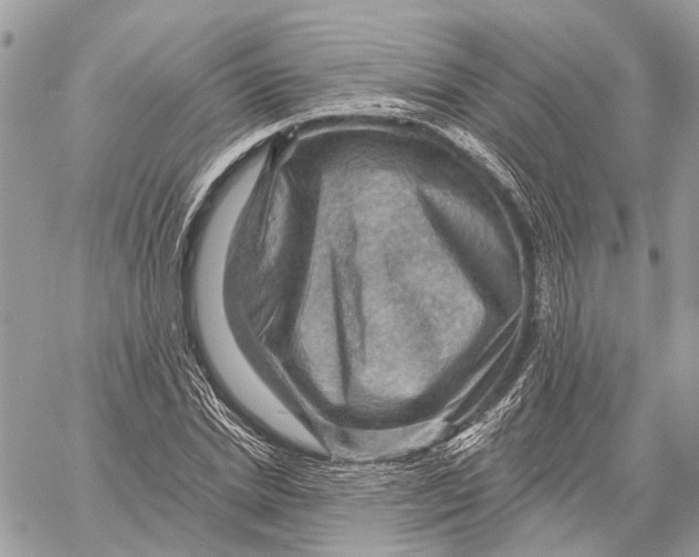 X0000058760830200510211655