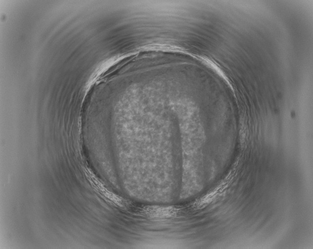 X0000058760831200510211655