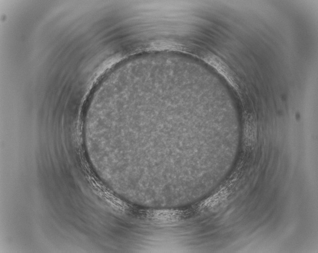 X0000058760832200510211655