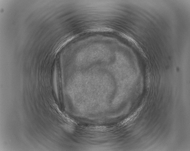 X0000058760833200510211655