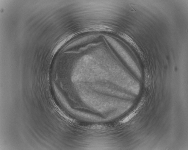 X0000058760834200510211655