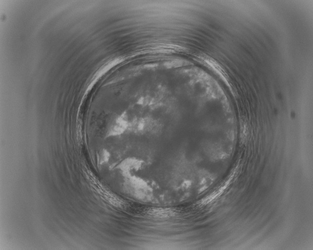 X0000058760835200510211655