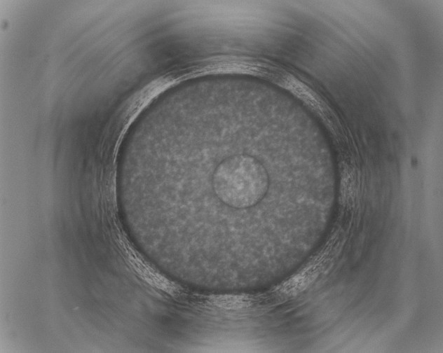 X0000058760836200510211655