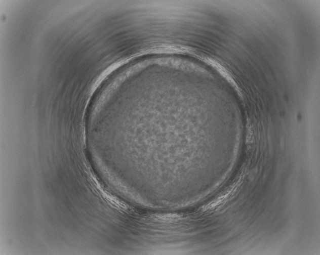 X0000058760837200510211655