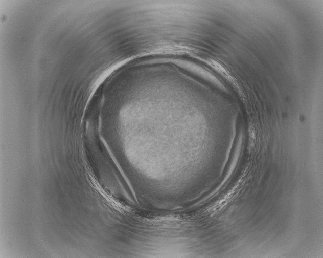 X0000058760838200510211655