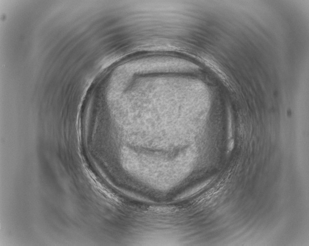 X0000058760840200510211655