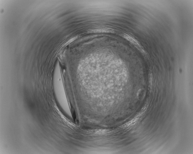 X0000058760841200510211655