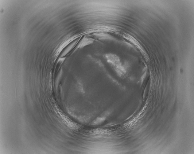 X0000058760842200510211655