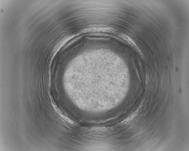 X0000058760844200510211655