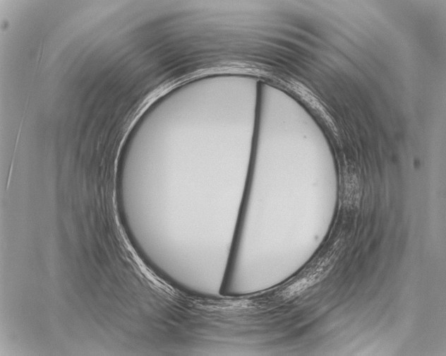 X0000058760845200510211656