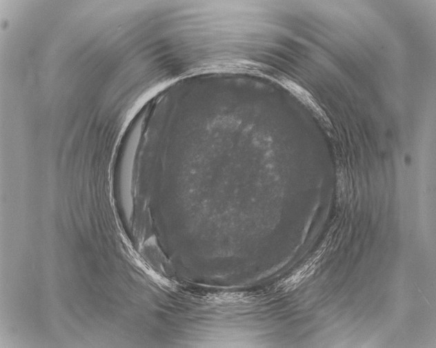 X0000058760846200510211656