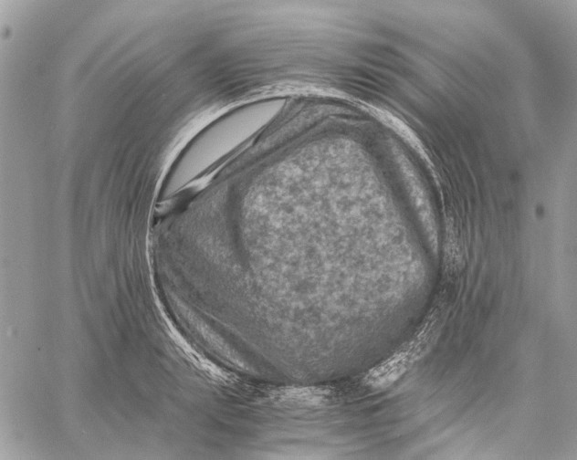 X0000058760847200510211656