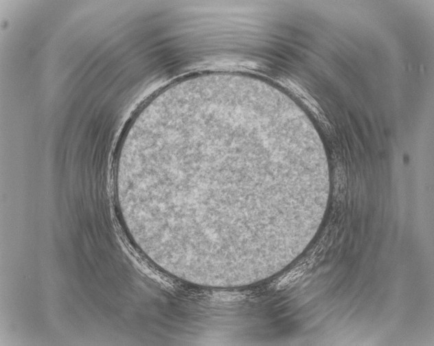 X0000058760848200510211656