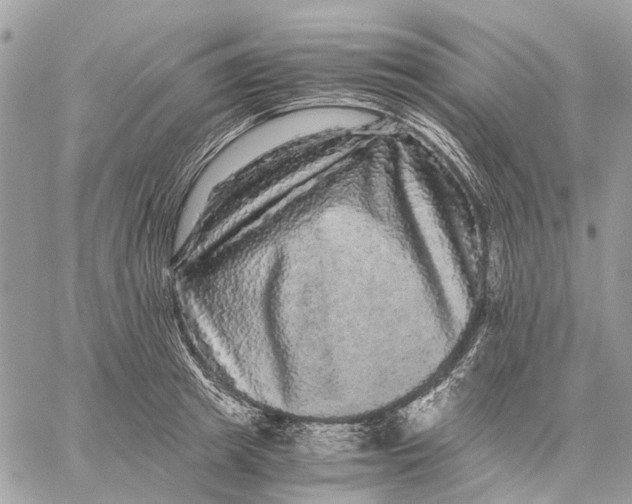 X0000058760849200510211656