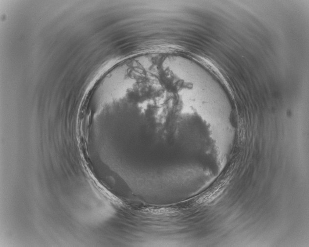 X0000058760851200510211656