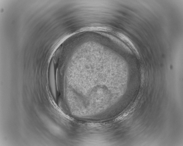 X0000058760852200510211656