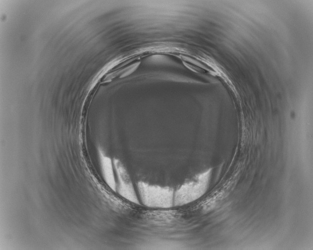 X0000058760853200510211656