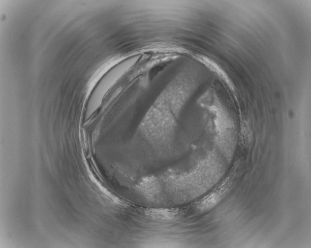 X0000058760855200510211656