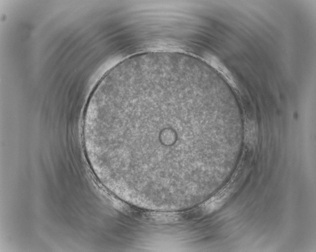 X0000058760856200510211656