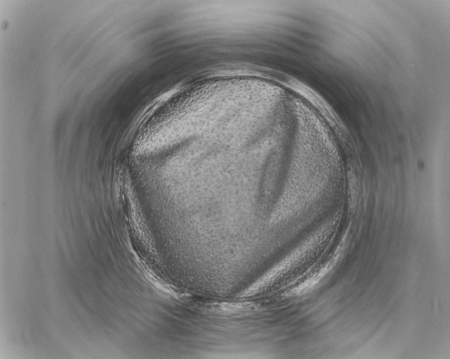 X0000058760857200510211656