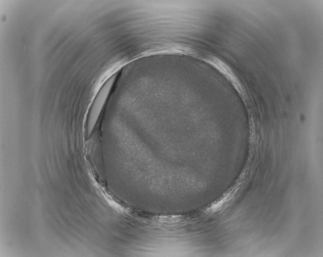 X0000058760858200510211656