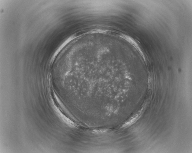 X0000058760859200510211656