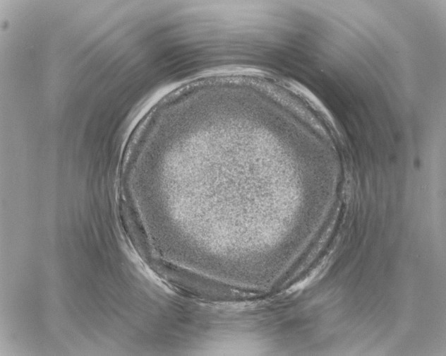 X0000058760860200510211656