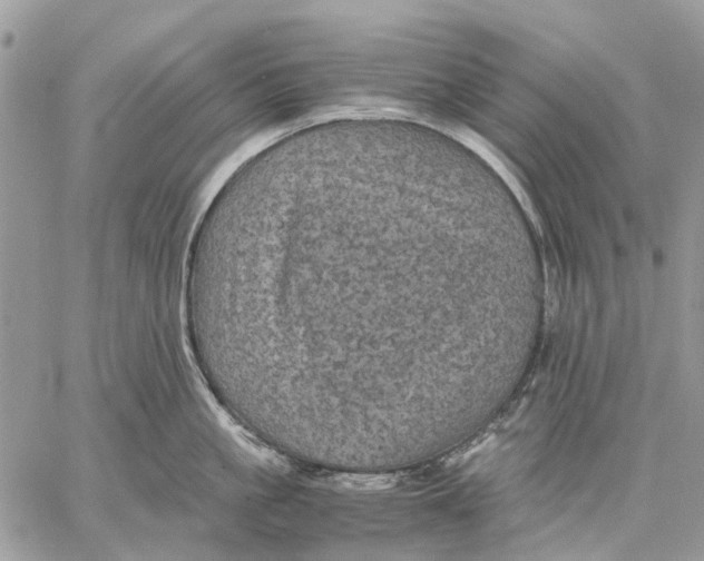 X0000058760861200510211656